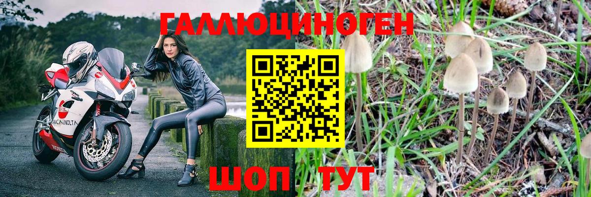 Галлюциногенные грибы Psilocybine cubensis  Вход с VPN  Первоуральск  Галлюциногенные грибы MAGIC MUSHROOMS 